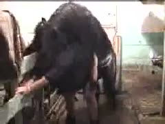 The horse is giving me more fucks.